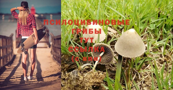 прущая мука Верхнеуральск