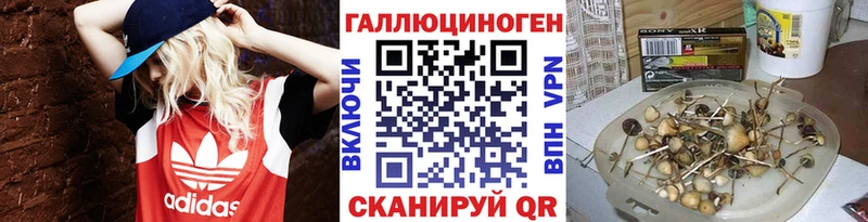 нарко площадка наркотические препараты  Ветлуга  Псилоцибиновые грибы Psilocybine cubensis  мега ТОР 